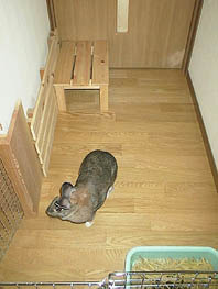 �p�g���[�����郀�M