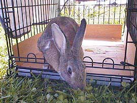 ��������H�ׂ��