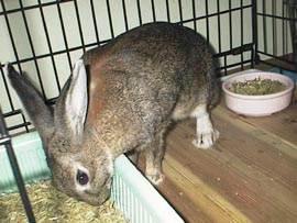 �����������������q��