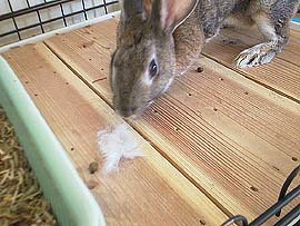 �������K