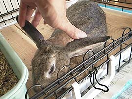 ������������