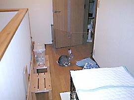 ��a�ł��낮���M