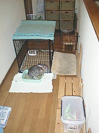 ���M�l��a