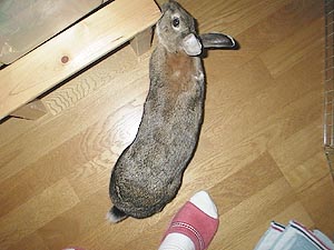 �����t��