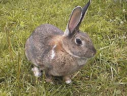 ���`�A�܂������E�E������������