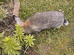 �����`����