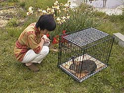 ����`���`��