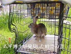 ���󂪋Ȃ����Ă���