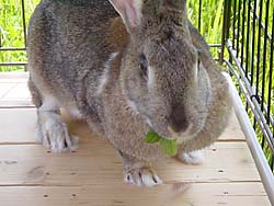 ���\������