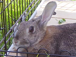 �����I�Ȃ񂾂Ȃ�