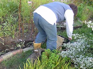 ���ꂳ��A�V�ڂ�