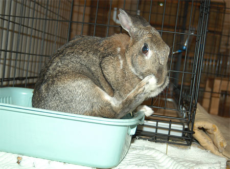 �тÂ��낢�@���M���M