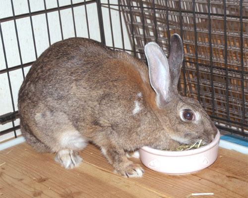 �q�����V�����V��